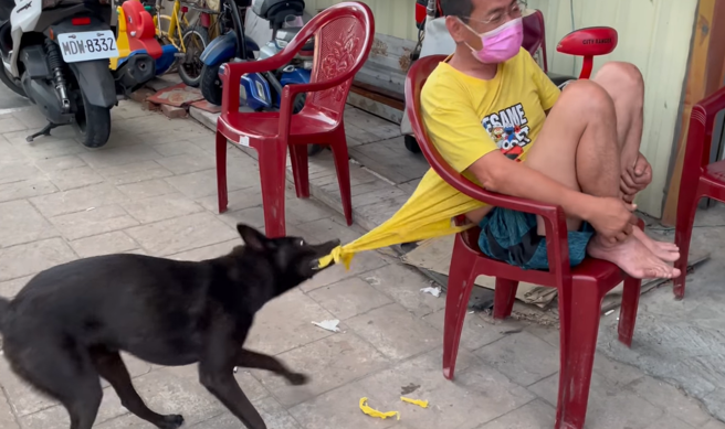 1部影片在网路上疯传，1名男子坐在路边椅子上，他所饲养的黑色米克斯竟在旁不断「撕扯」他的T恤，T恤当场被扯到破烂不已，不少布料掉在地上。（翻摄自脸书「爆废公社」）