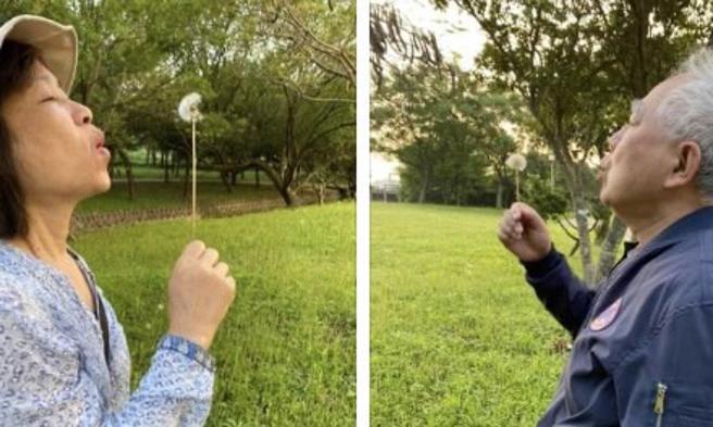 左化鹏》蒲公英的祝福。（爱传媒提供）