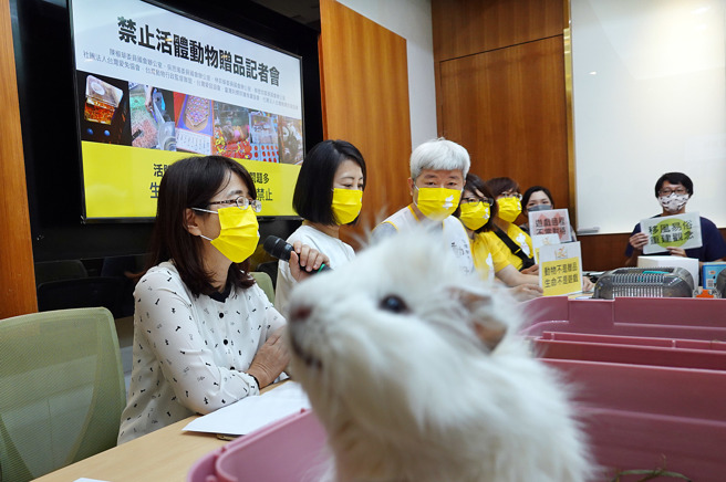 台湾动物行政监督联盟与立委林奕华（左起）、吴思瑶等人15日举行「反对游戏换活体动物」记者会，呼吁修法禁止以小鼠、兔子等活体动物当作游戏赠品。（姚志平摄）