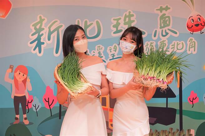 新北珠葱上市 吃喝玩乐探索珠葱魅力。（叶德正摄）
