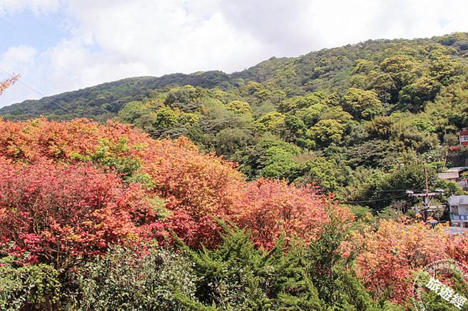 充满红色视觉飨宴