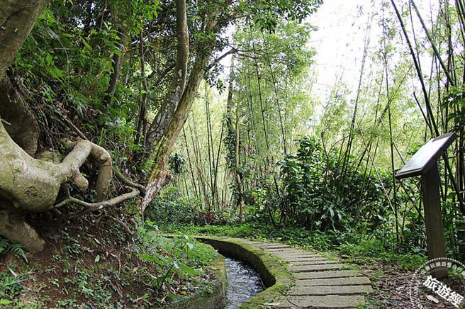 菁礐古圳曲折蜿蜒古朴的石板路