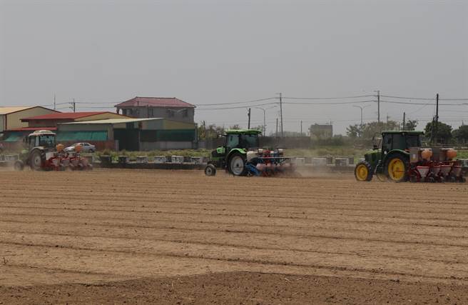 台南学甲、盐水农会与金酒公司契作高粱15日举行播种祈福仪式。（刘秀芬摄）