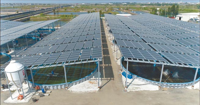 全联携手口湖渔类生产合作社，向环保节能目标迈进，园区内1年可产出230万度绿电，鱼电共生的方式，有效达到零碳绿能。（全联提供）