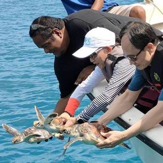 台灣助帛琉復育海洋生物 各國代表體驗放生海龜