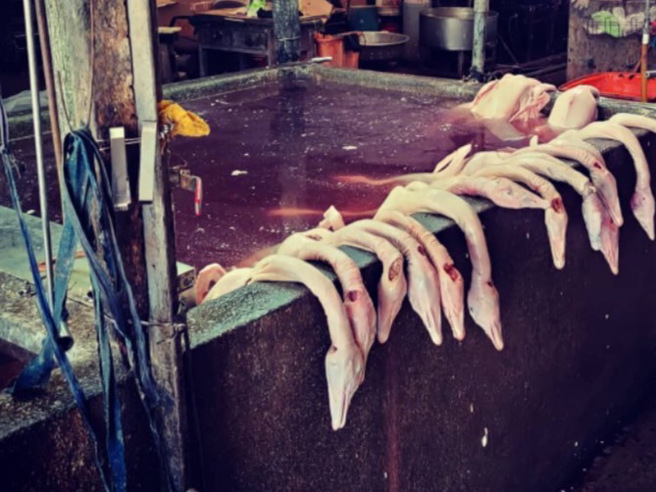 「警界余文乐」廖维恩，侦破非法屠鹅场，防止3万只违法鹅体流入市面。（警方提供）