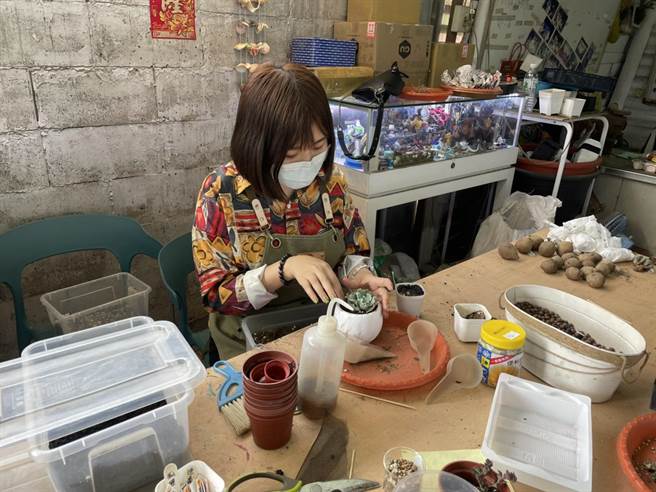 施雅鏻也忙著設計多肉盆栽。（洪靖宜攝）