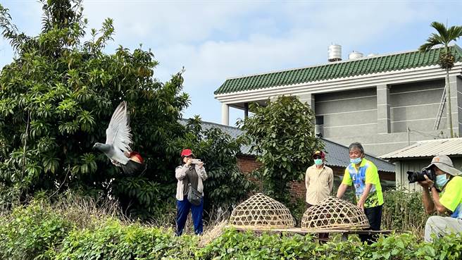 近日各庄头陆续举行公笭对抗赛，16日由盐水番子寮与孙厝寮2个庄头展开对抗。（张毓翎摄）