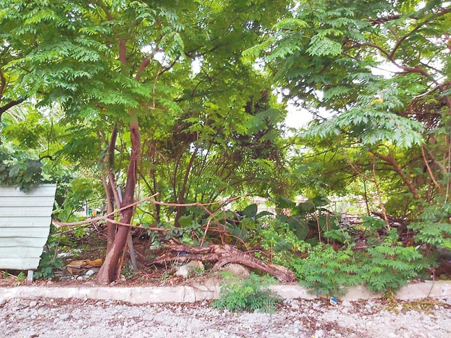 新北市北大国小旁有块荒废用地，市议员廖宜琨近期邀集国产署等单位会勘，盼将此用地绿美化，并打通便道供学童通学，解决北大调度站问题。（廖宜琨提供／蔡雯如新北传真）