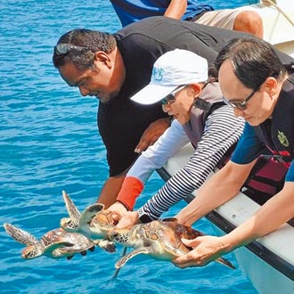 台助帛琉復育海洋生物 各國代表體驗放生海龜