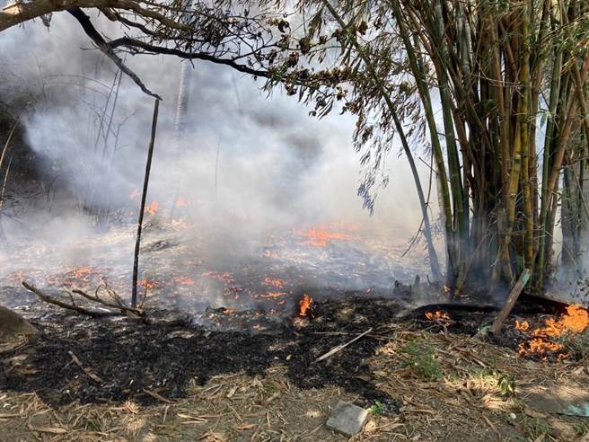 情侣放烟火烧掉台江国家公园一整片树林。（读者提供／程炳璋台南传真）