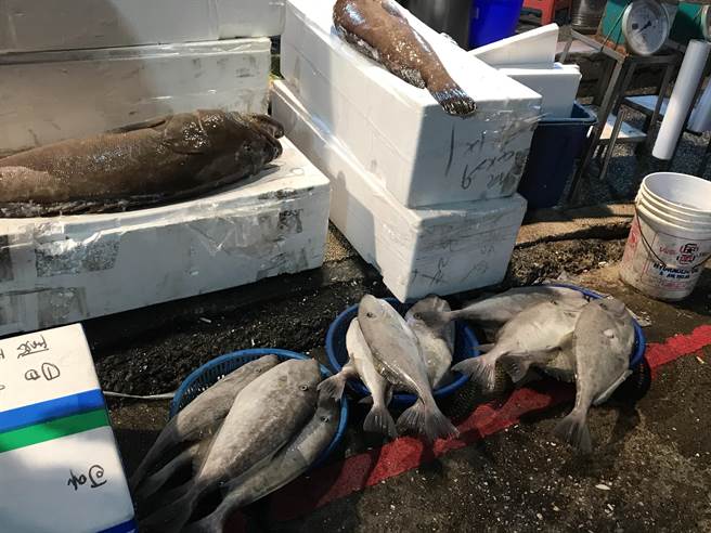 市長林右昌表示，若市場有攤商染疫，不會休市，只會要求該攤位立即停業3天。（陳彩玲攝）