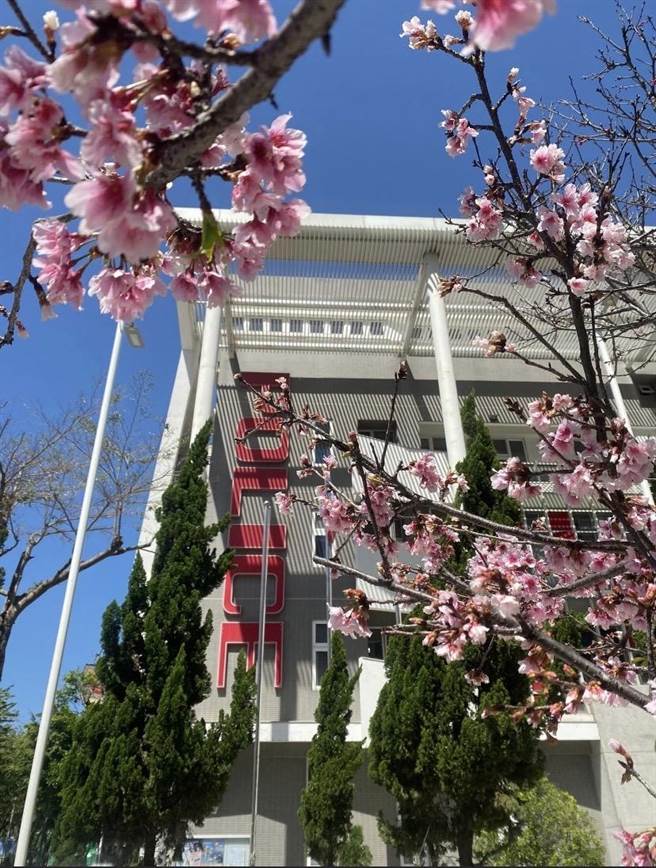 台中市北屯區一名女子從6樓墜樓，幸好有第4台電視線還有等其他物品緩衝，救回一命。（摘自台中市警察局第五分局臉書／盧金足台中傳真）