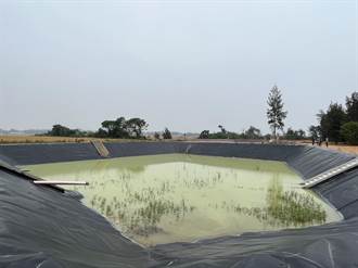 金門金沙灌溉農塘改善完工 灌溉面積大幅提升至百公頃