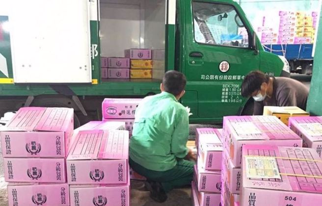 3綠委盼芒果「二打一」優惠運費持續 中華郵政：朝正面規畫。（資料照）