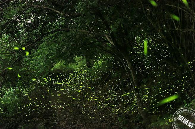 圖：臺南市政府觀光旅遊局提供