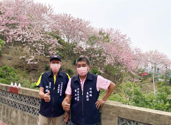 嘉义县竹崎乡义隆村长叶志纮（右）在村庄附近种了3000多棵花旗木，自家门前也种了300棵，并自费开辟成步道，面费供游客观赏。（张亦惠摄）