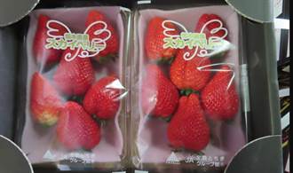 福島五縣食品開放後 首件草莓違規被退貨