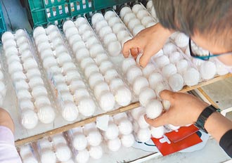 蛋荒全球蔓延 蛋價漲不停