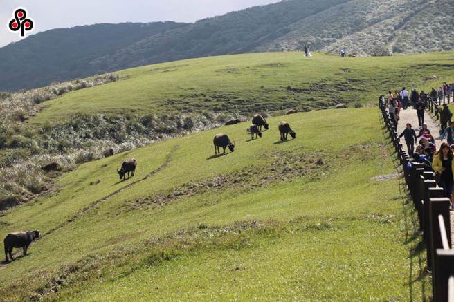 士林惊传掳人凌虐，国中女讨分手费，揪14人擎天岗围殴「小男友」。(中时资料库)
