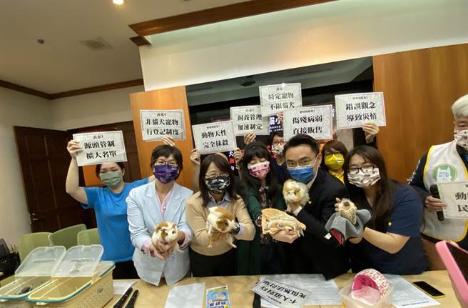 台灣愛鼠協會、台灣刺蝟照護推廣協會與台灣動物保護行政監督聯盟等動保團體與跨黨派立委們今(19)日共同舉行記者會，面對特寵販售、繁殖等諸多亂象，要求政府盡快制定出實際可用的非犬貓寵物管理政策及執行機制。（李柏澔攝）