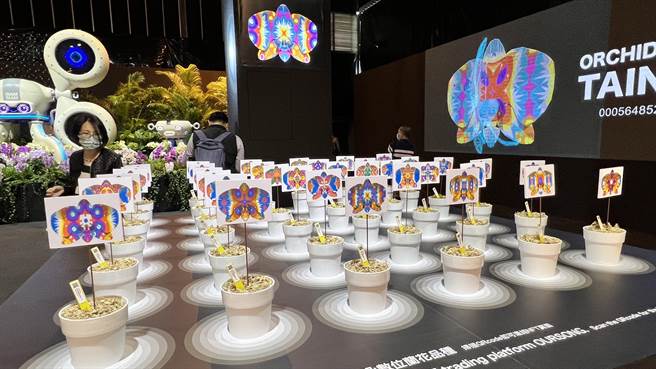 台灣國際蘭展今年有超過20.6萬人入園，帶動未來3至5年外銷訂單創18年來新高，達118億6500萬元