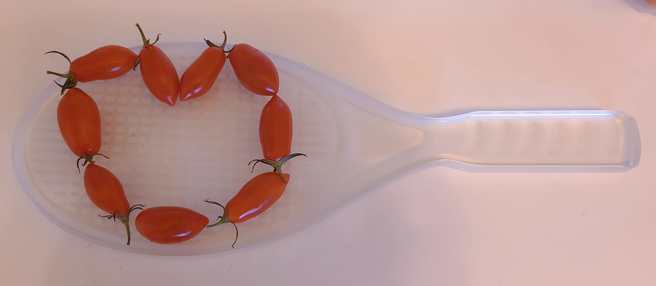 谢淑薇突发奇想，将球拍造型奖杯拿来当沙拉摆盘的器具。（取自谢淑薇脸书粉专）