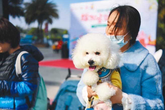 深圳近日建立「宠物集中隔离托管中心」，确保在宠物主人隔离的同时，宠物也能获得妥善安置。此为示意图。（中新社）