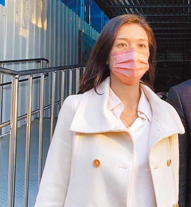 嘉義市議員戴寧聲請交保，以到議會開定期會，再遭駁回。（本報資料照片）