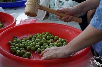 花博農民市集 在台北就能學習脆梅DIY