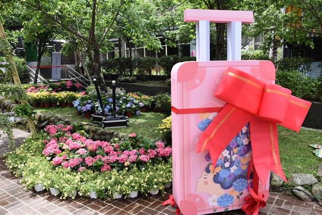 参山国家风景管理处推「南庄花卉节」在南庄游客中心等4大景点布置打卡亮点。（谢明俊摄）