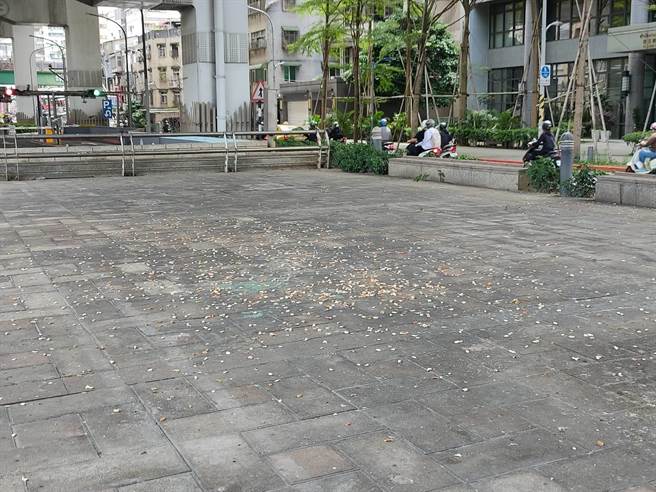 潘懷宗接獲民眾投訴，位於市民大道泰國貿易經濟辦事處旁的昌隆 198公園內常有民眾餵食野鴿麵包屑，造成滿地髒亂及鴿糞。（潘懷宗提供／楊亞璇台北傳真）