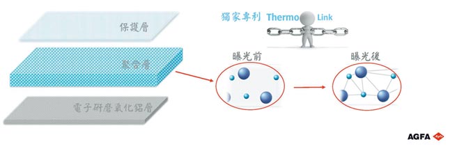 爱克发的独特免冲版涂布科技与专利热感聚合科技，增加Azalea ZP的操作便利性与耐印量。图／爱克发提供