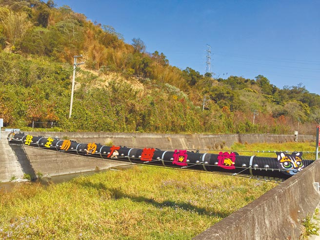 苗栗县卓兰镇老庄溪建置全国首创的野生动物友善通道跨越桥，在桥梁完工后的第436天，首次监测到石虎从通道上方穿越 。（苗栗县政府提供／李京升苗栗传真）