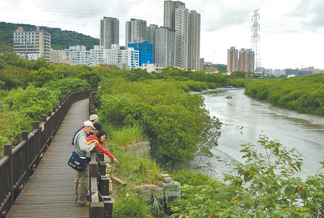 水笔仔湿地生态圈的红树林自然步道。（本报资料照片）
