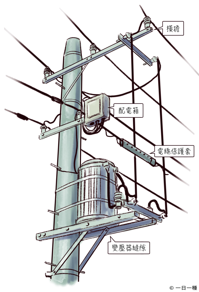 麻雀也同样会使用人造物筑巢。牠们经常利用屋瓦、排水管与电线杆等的缝隙。（图/远流出版提供）