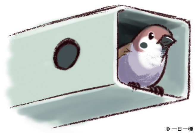 在横担末端筑巢。（图／远流出版提供）