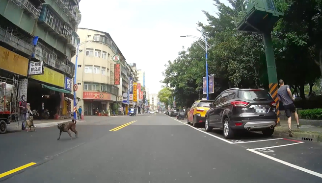 有名騎士因見一名路人穿越馬路至一半按喇叭示警，豈料，卻看到路人被狗追，他的喇叭聲也嚇跑該犬隻。（翻攝自臉書爆怨2公社）