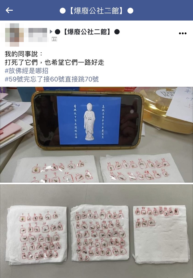 網友發揮神技殺了數十隻蚊子，並將屍體一一排列放在衛生紙上，還用紅筆標示數字，並在一旁用手機顯示佛祖圖與播放佛經，希望能蚊子們「一路好走」。（翻攝自臉書「爆廢公社二館」）