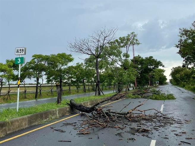 部分路樹因強風驟雨倒塌。（取自嘉義縣議員姜梅紅臉書∕呂妍庭嘉義傳真）