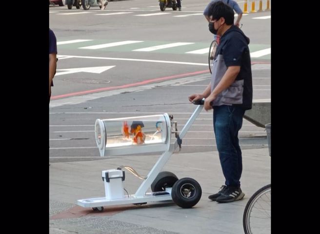 一名网友在路上看到有人遛鱼，而饲主竟是手作YouTuber黄小洁。(图翻摄自脸书/动物梗图星球)