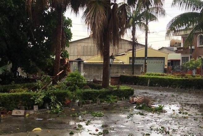 台南後壁長短樹下冰雹。(讀者提供／劉秀芬台南傳真)