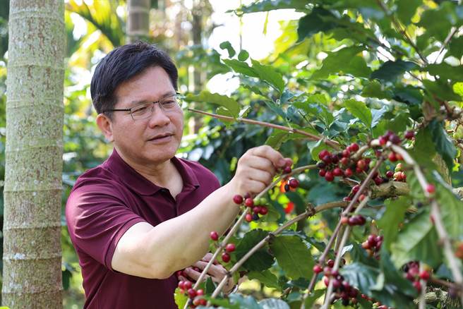 世界阅读日  林佳龙推书暗喻。摘自林佳龙脸书