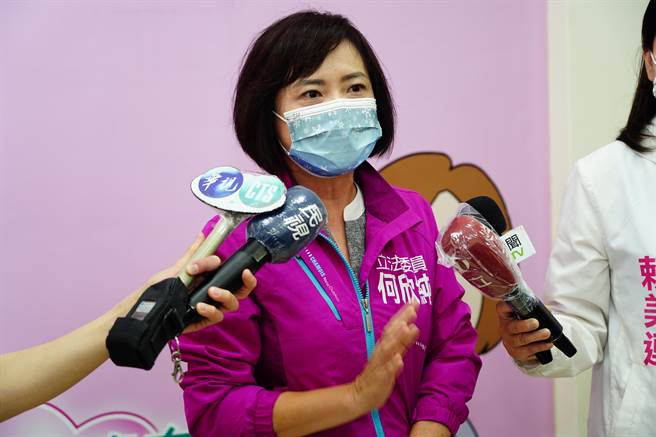 立委何欣纯今天下午受访时，证实20日与蔡英文总统晤面近50分钟，当面表达参选的决心。（卢金足摄）