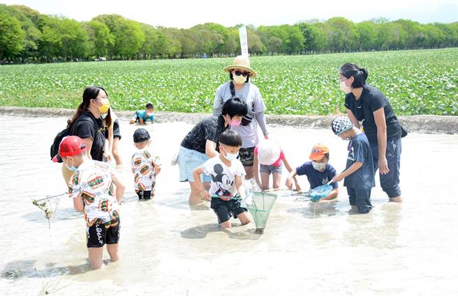 親子體驗焢窯之餘，更下水一起抓泥鰍。（林和生攝）