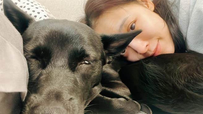 勇兔心疼毛孩「七辣」不能外出不断哀嚎。（图／勇兔提供）