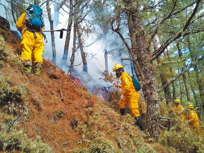野炊造成山林大火，民进党立委罗美玲等人提案修法，拟将罚则提高为处1年以下有期徒刑、拘役或1万5千元以下罚金。（嘉义林管处提供／本报资料照片）