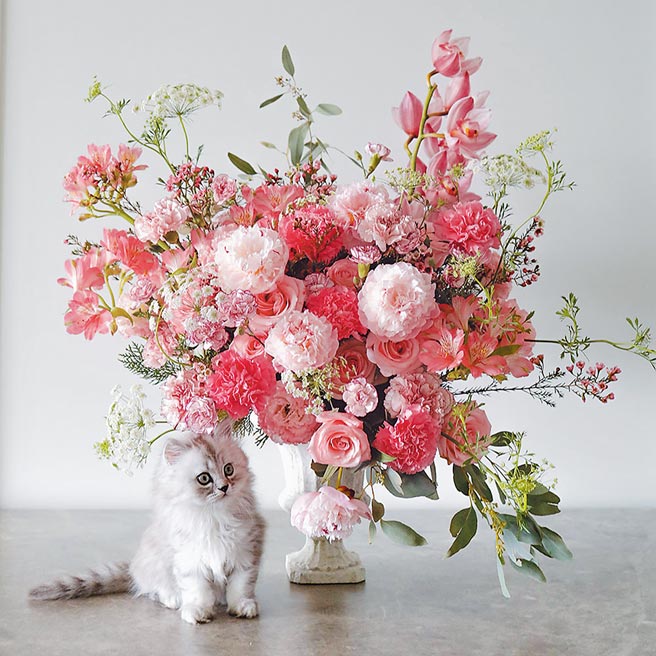 丹尼尔花艺赫斯提亚 Hestia，9800元，20日前网路预订享95折，9310元。（丹尼尔花艺提供）