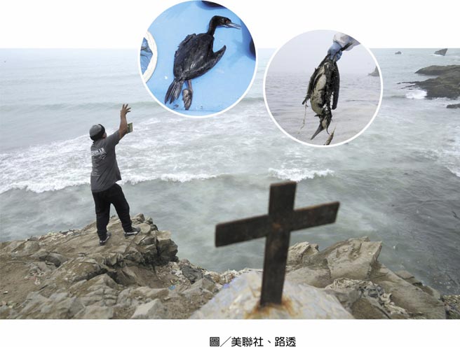 秘鲁遭遇海洋浩劫图╱美联社、路透