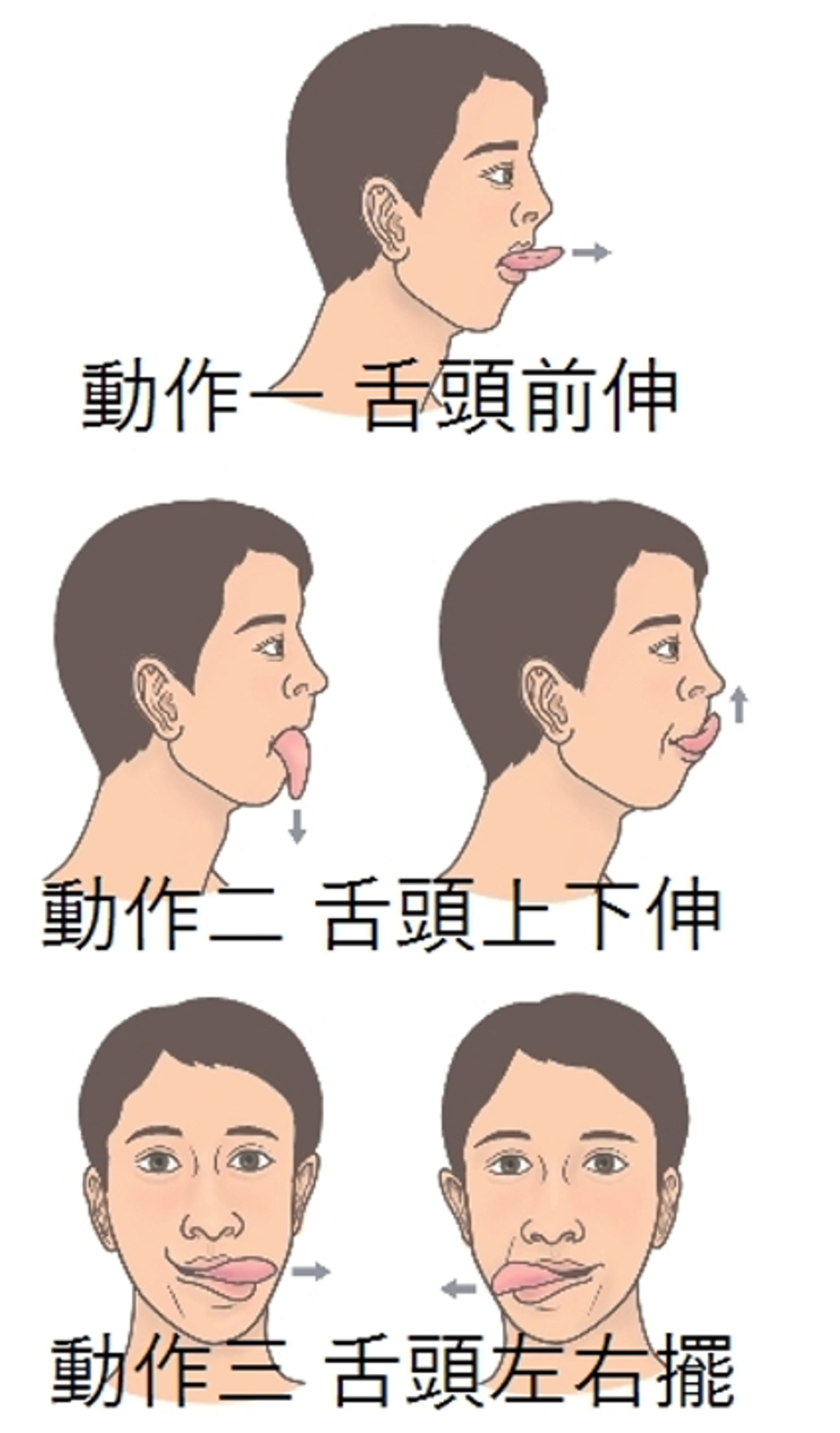 舌頭肌群的口咽肌肉訓練(資料來源／李學禹醫師《熟睡迎接每一天》／方舟文化提供)
